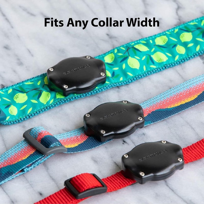 Elevation Lab AirTag Dog Collar Holder - TagVault™ - Secure Thru-Mount, IP69 Wat gallery