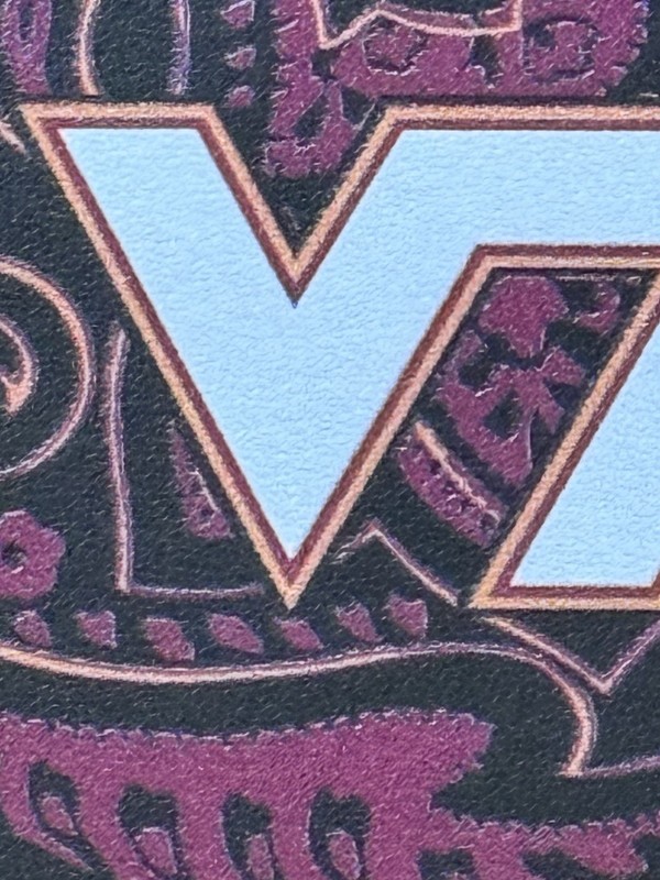 Virginia Tech Hokies Keyscaper Paisley Magnetic Bump Case: IPhone 16 Pro New gallery
