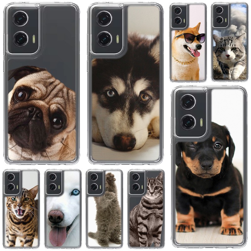 Plastic+Gel Case Cover&Tempered glass For Moto G Stylus 5G 2024 2023 2022-PET
